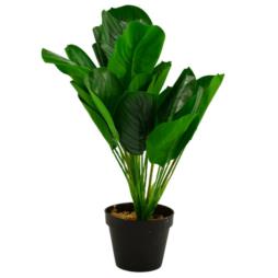 Kwiat sztuczny Jaskier w doniczce Calathea 50cm