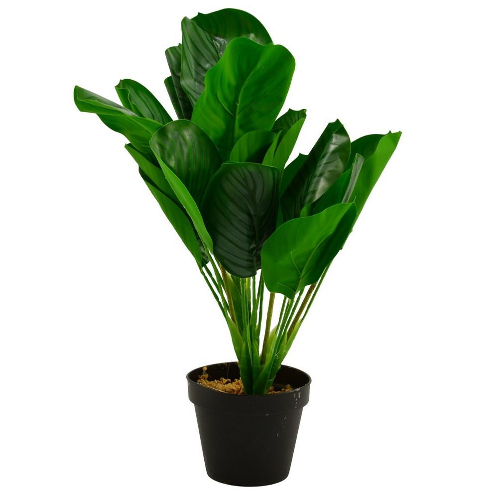 Kwiat sztuczny Jaskier w doniczce Calathea 50cm