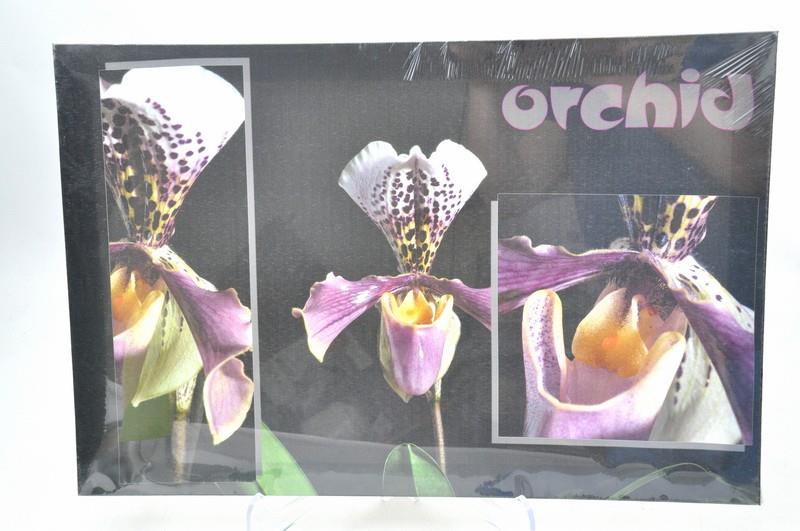 Obraz 30x45cm orchid 49563-007