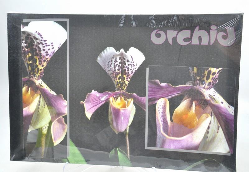 Obraz 60x40cm orchid 49564-007