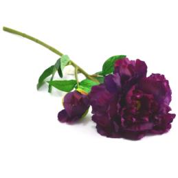 Kwiat sztuczny Peonia 60cm 07.7417