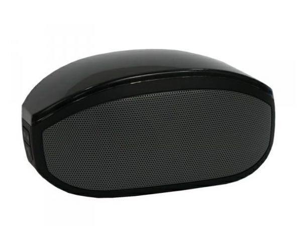 Głośnik Bluetooth BT 013